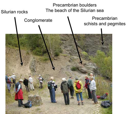 Silurian-arrows.jpg